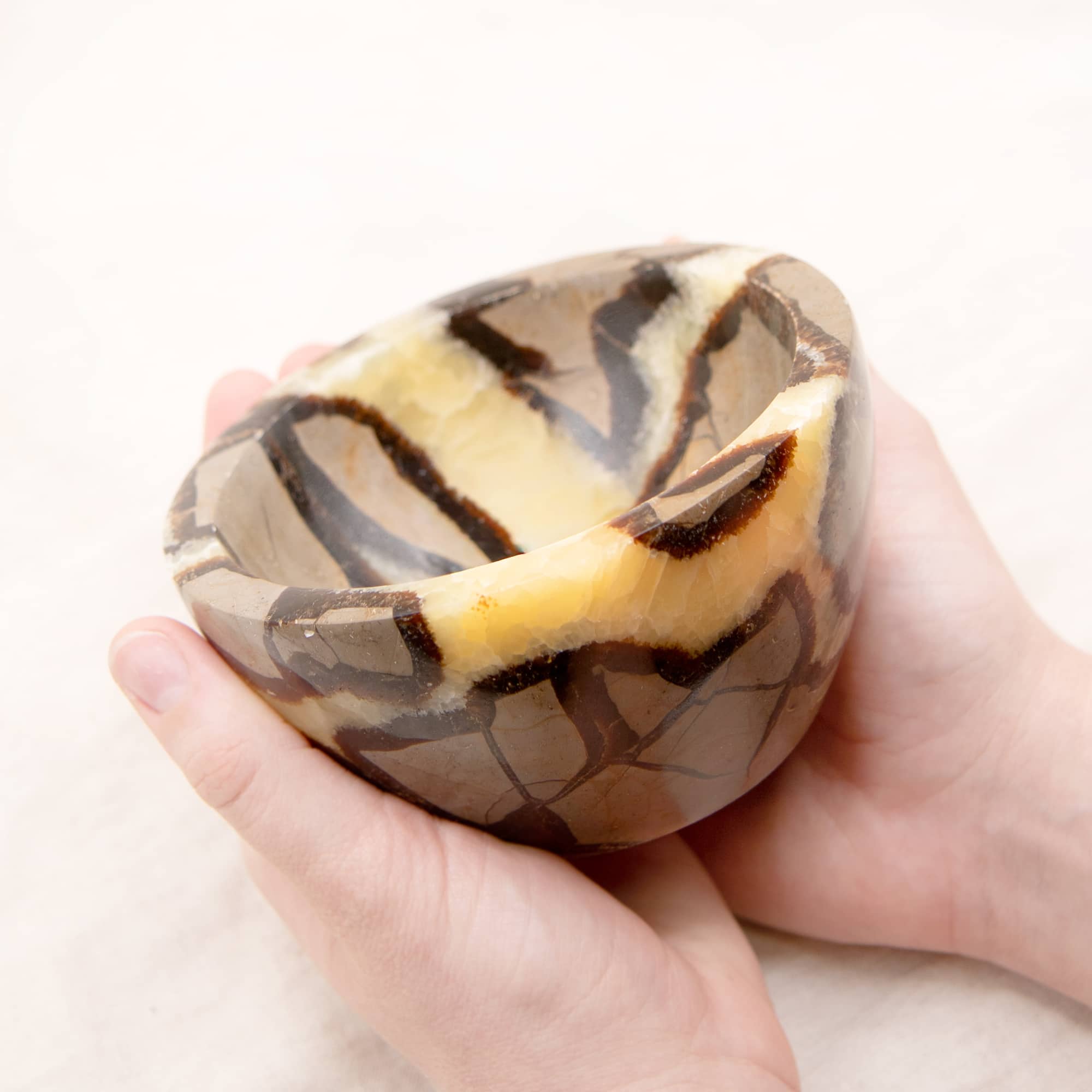 Rare Black Septarian Crystal Bowl - 1 of a Kind