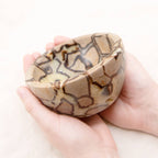 Rare Black Septarian Crystal Bowl - 1 of a Kind
