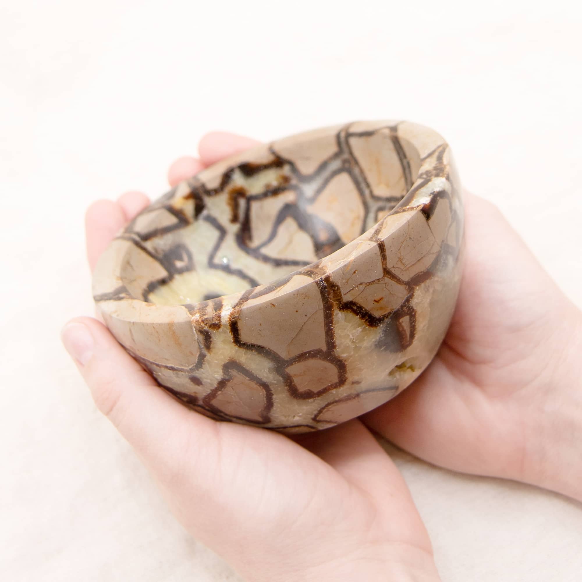 Rare Black Septarian Crystal Bowl - 1 of a Kind