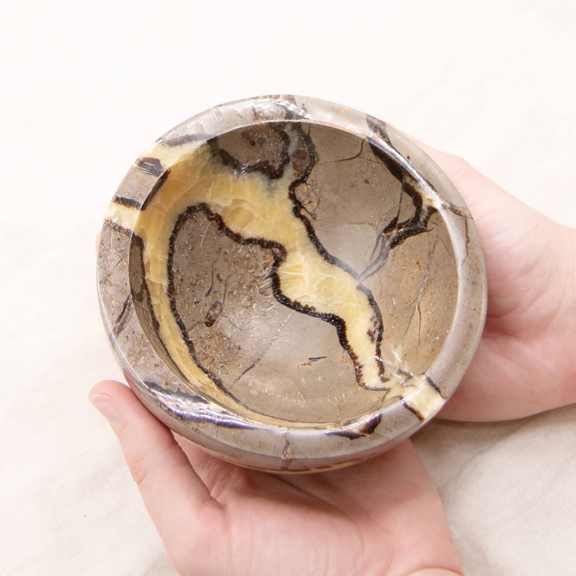 Rare Black Septarian Crystal Bowl - 1 of a Kind