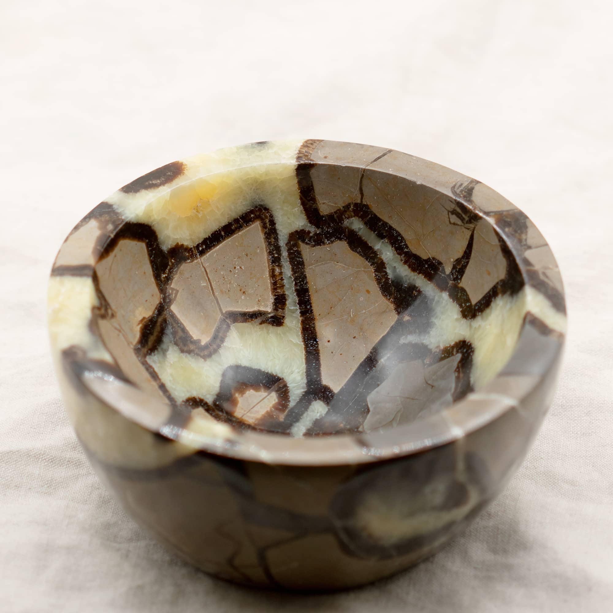 Rare Black Septarian Crystal Bowl - 1 of a Kind