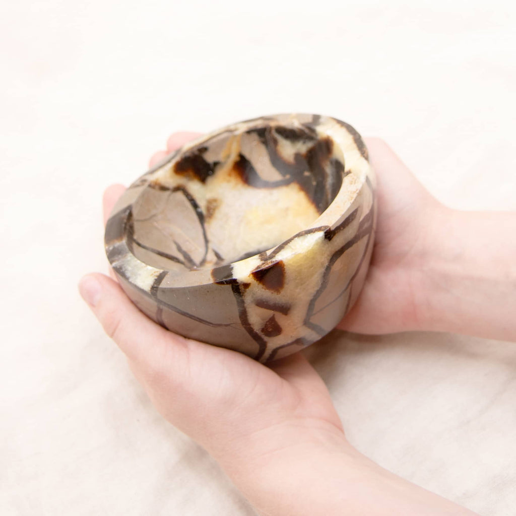 Rare Black Septarian Crystal Bowl - 1 of a Kind