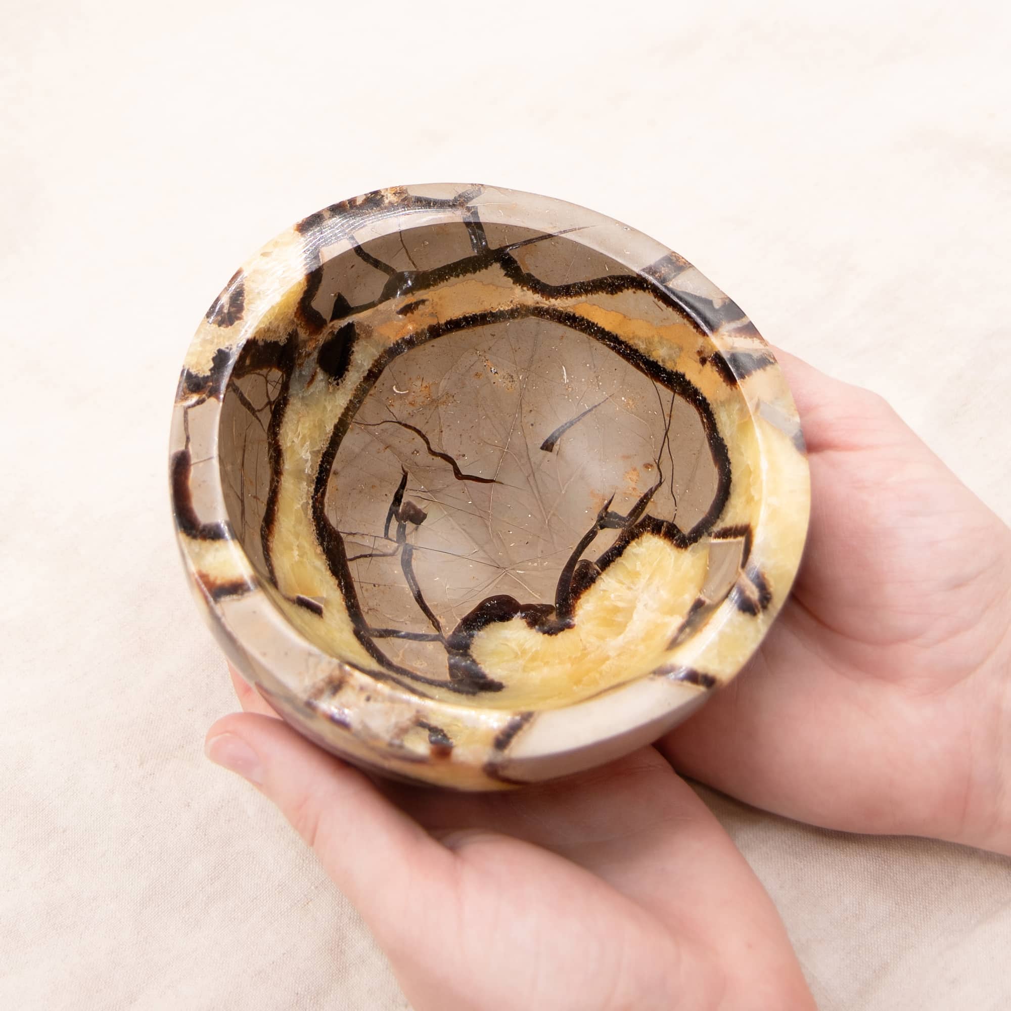 Rare Black Septarian Crystal Bowl - 1 of a Kind
