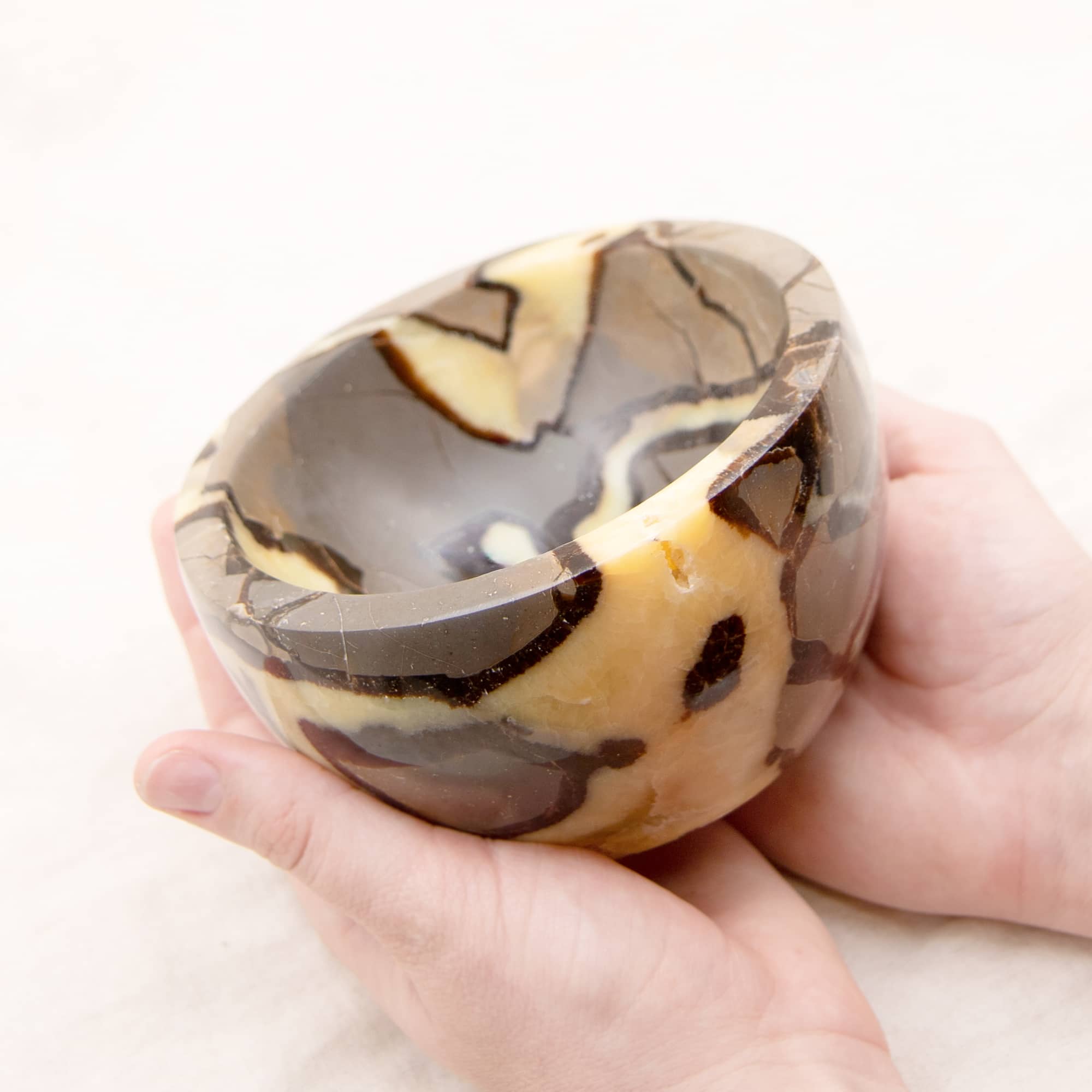 Rare Black Septarian Crystal Bowl - 1 of a Kind