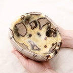 Rare Black Septarian Crystal Bowl - 1 of a Kind