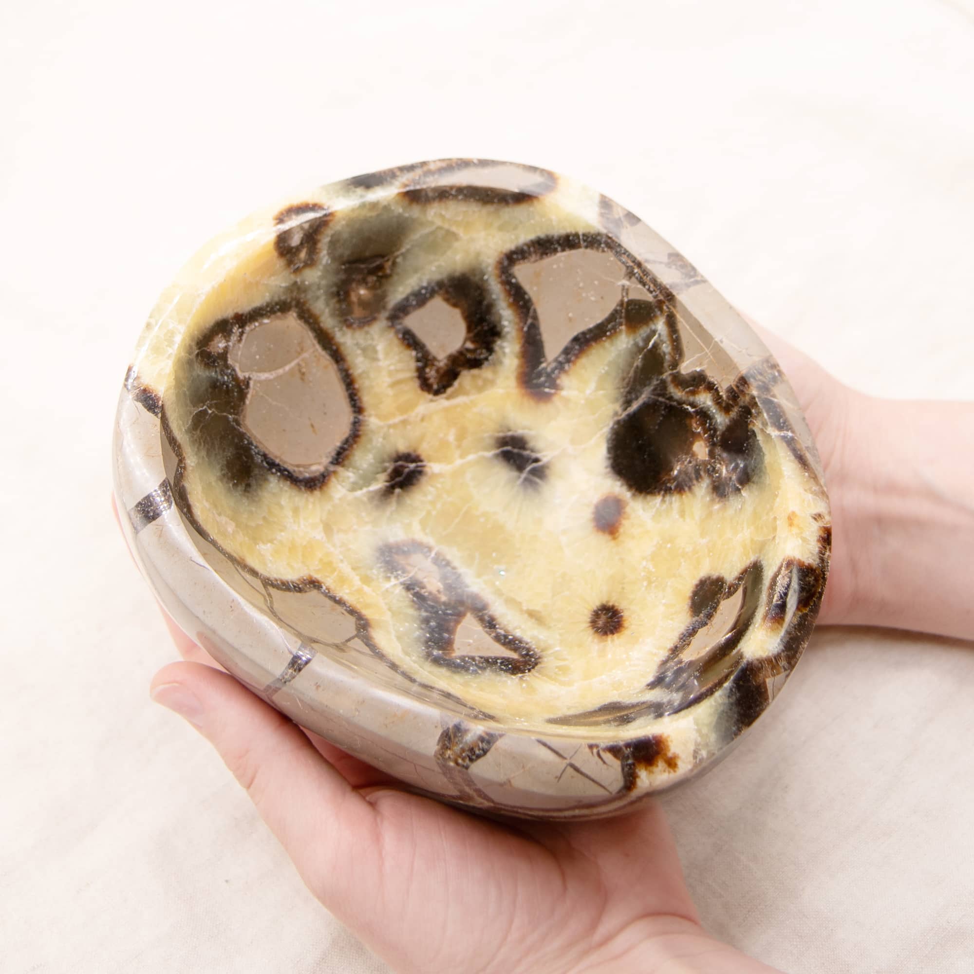 Rare Black Septarian Crystal Bowl - 1 of a Kind
