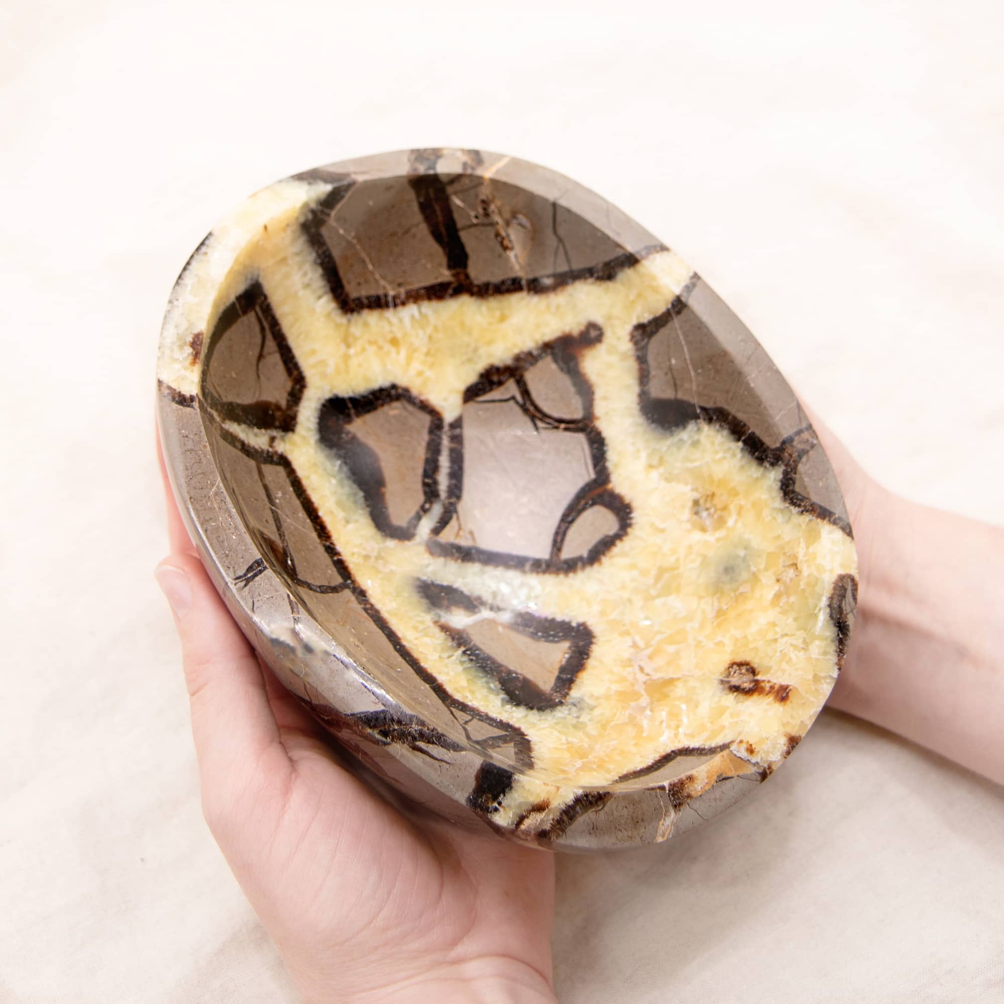 Rare Black Septarian Crystal Bowl - 1 of a Kind