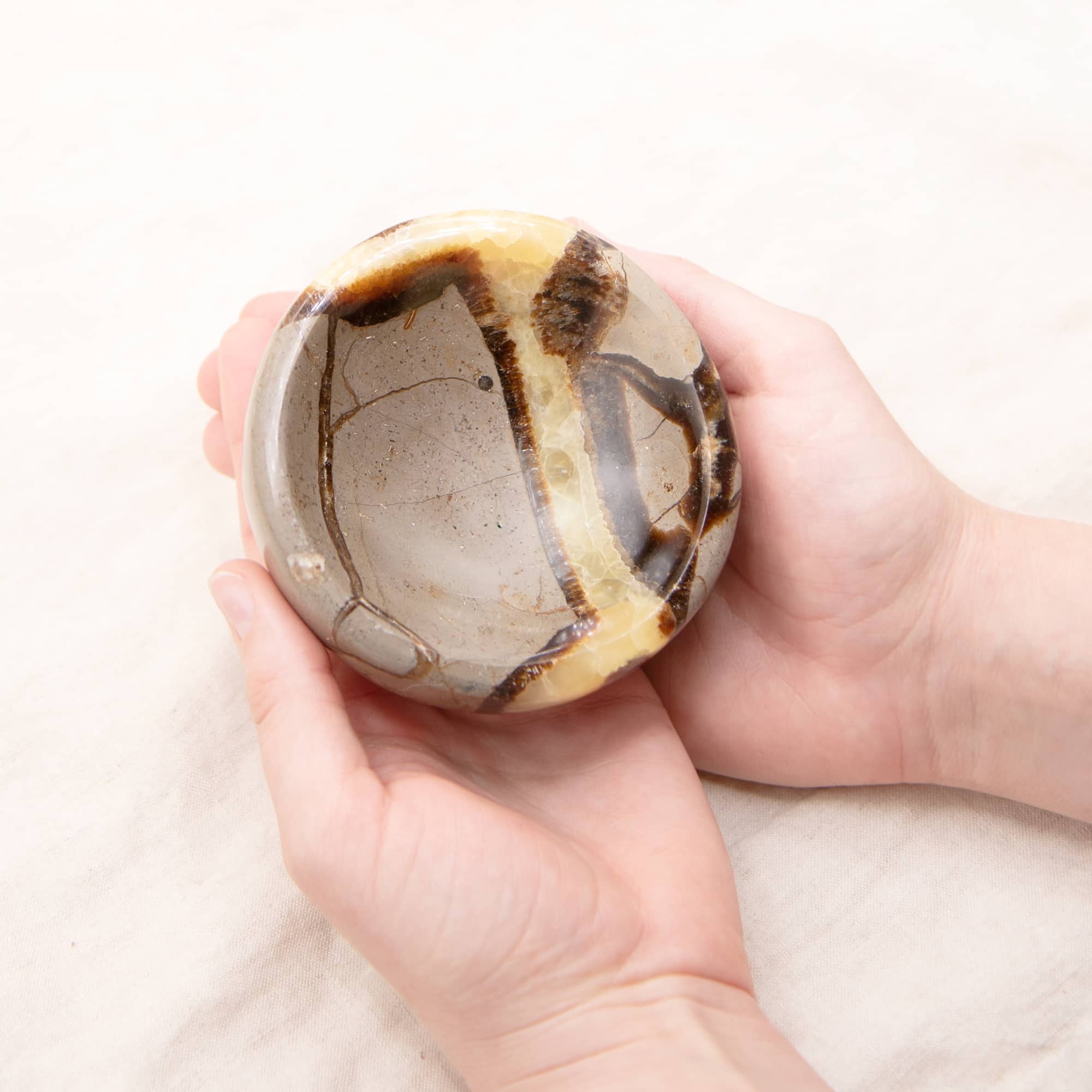 Rare Black Septarian Crystal Bowl - 1 of a Kind