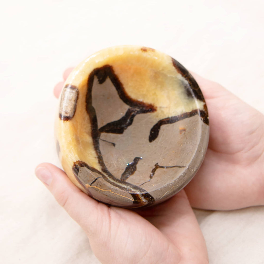 Rare Black Septarian Crystal Bowl - 1 of a Kind