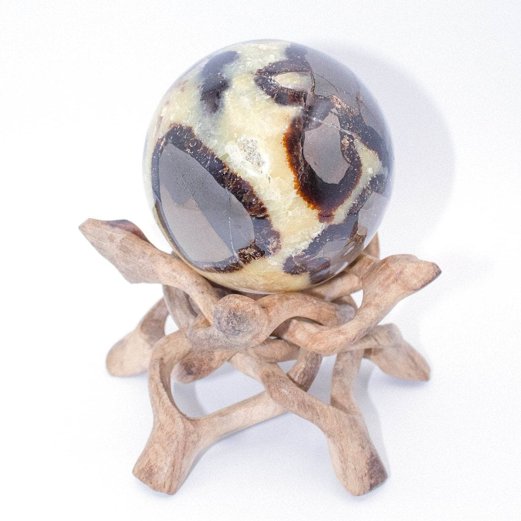 Rare Black Septarian Sphere - 1 of a Kind