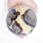 Rare Black Septarian Sphere - 1 of a Kind