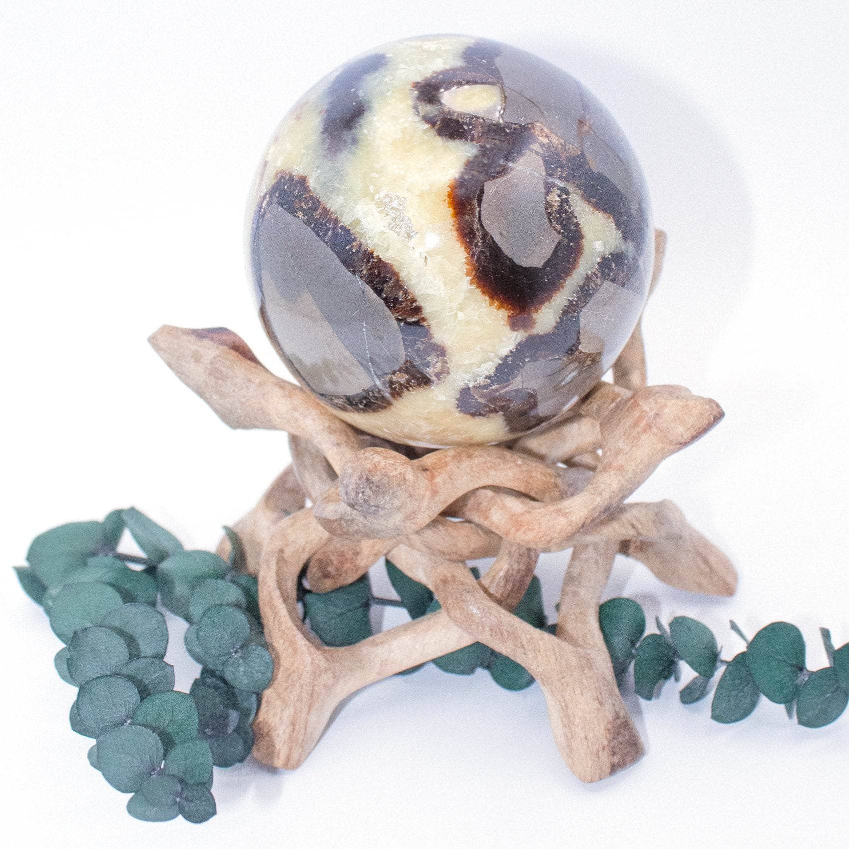 Rare Black Septarian Sphere - 1 of a Kind