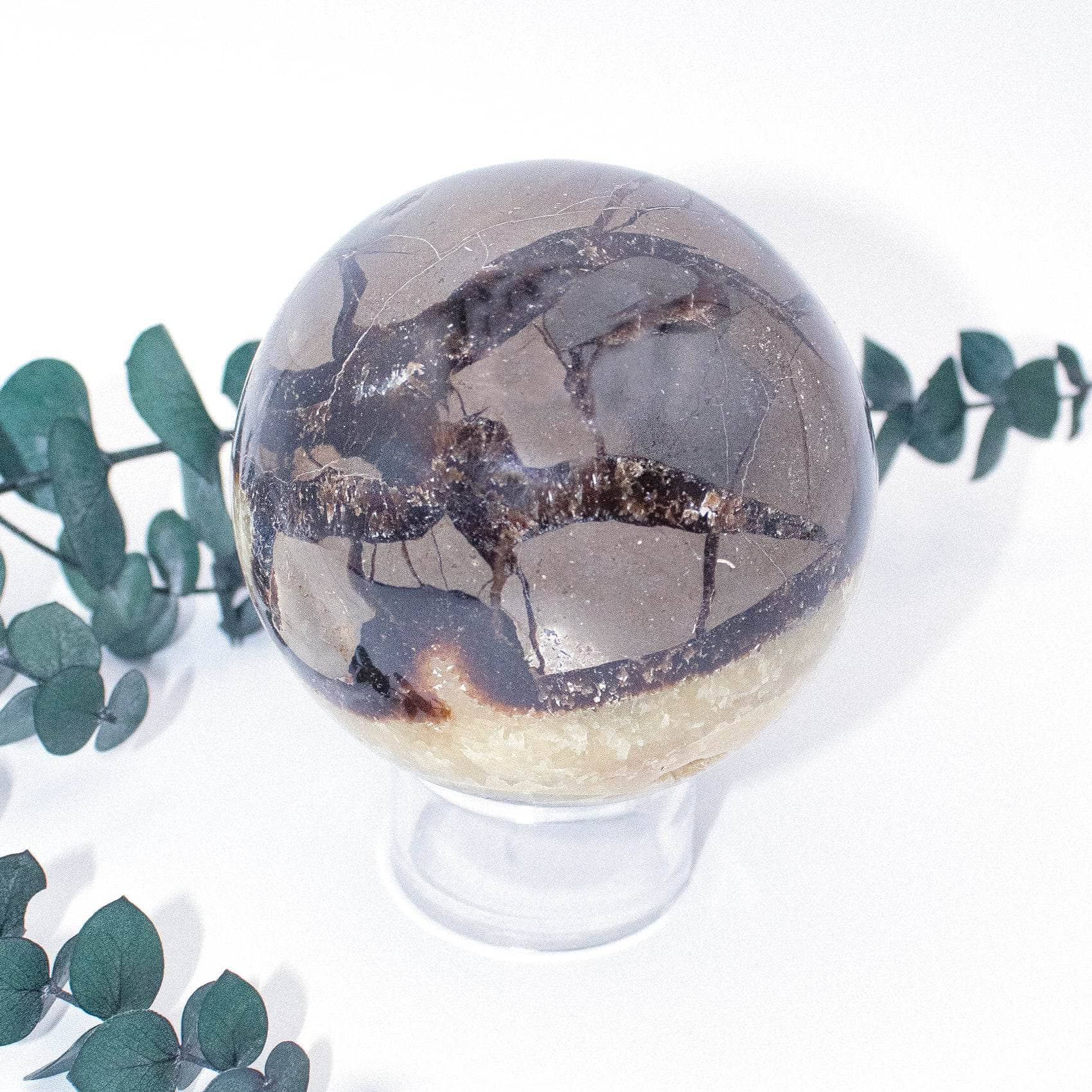Rare Black Septarian Sphere - 1 of a Kind