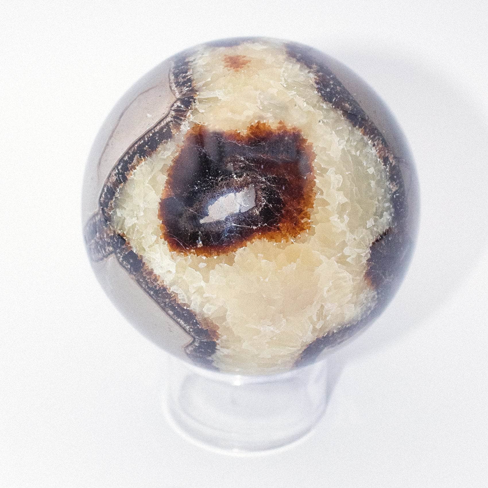 Rare Black Septarian Sphere - 1 of a Kind