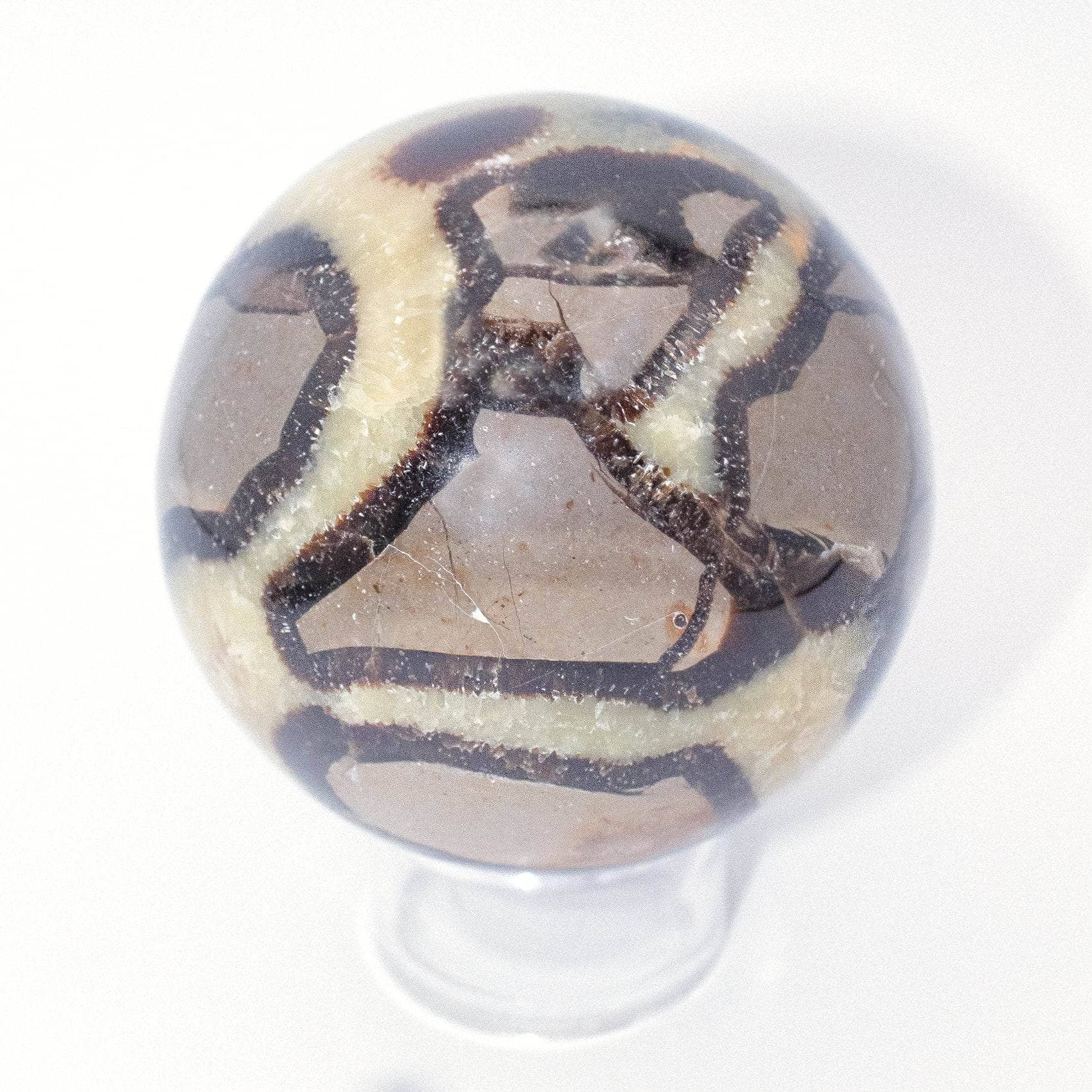 Rare Black Septarian Sphere - 1 of a Kind