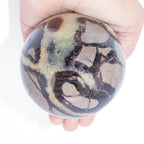 Rare Black Septarian Sphere - 1 of a Kind