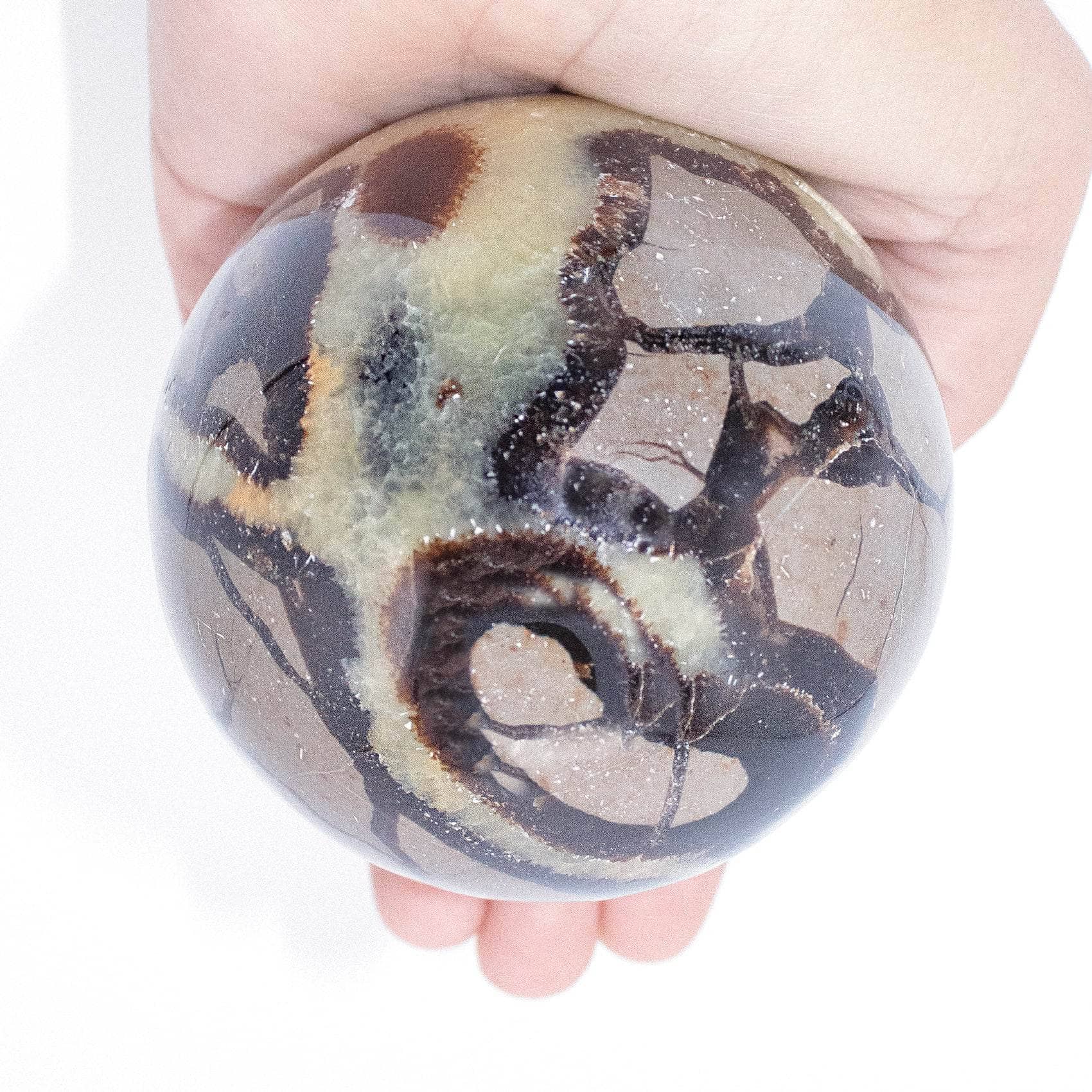 Rare Black Septarian Sphere - 1 of a Kind
