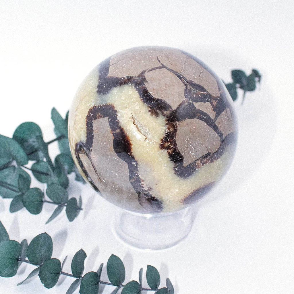 Rare Black Septarian Sphere - 1 of a Kind