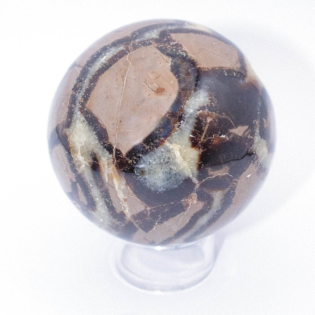 Rare Black Septarian Sphere - 1 of a Kind
