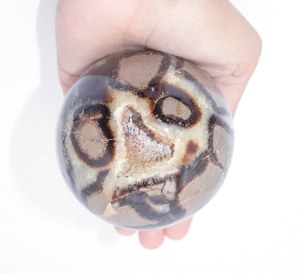 Rare Black Septarian Sphere - 1 of a Kind
