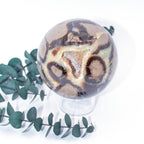 Rare Black Septarian Sphere - 1 of a Kind