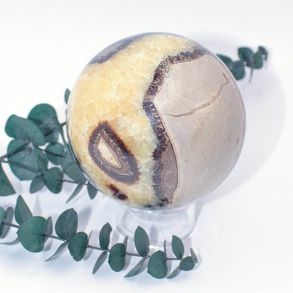 Rare Black Septarian Sphere - 1 of a Kind