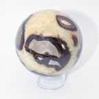 Rare Black Septarian Sphere - 1 of a Kind