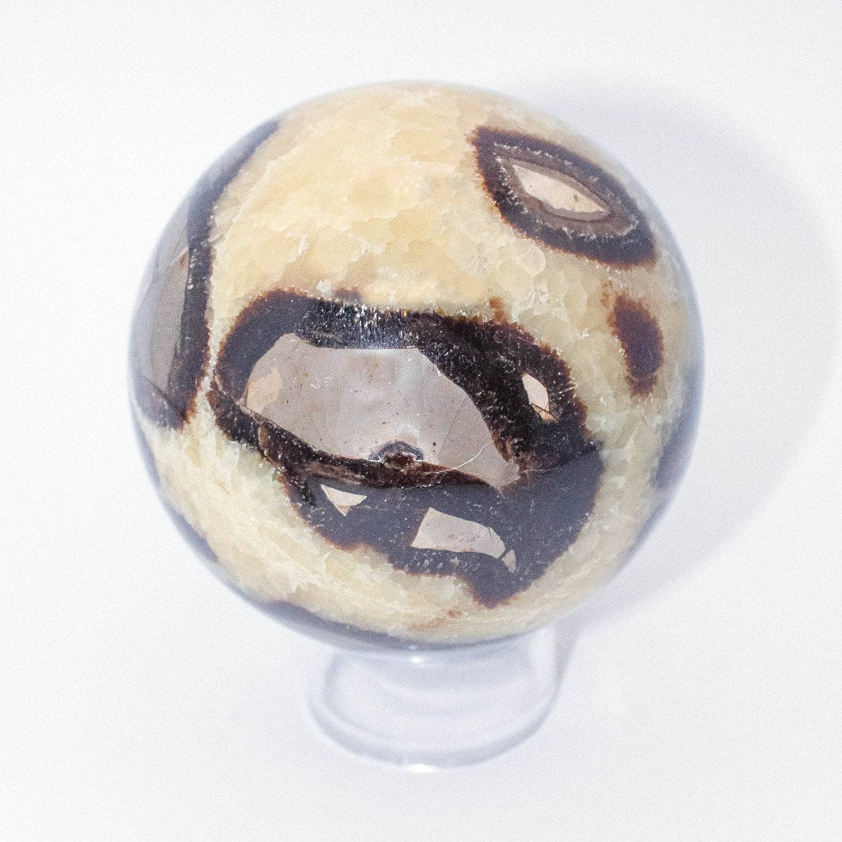 Rare Black Septarian Sphere - 1 of a Kind