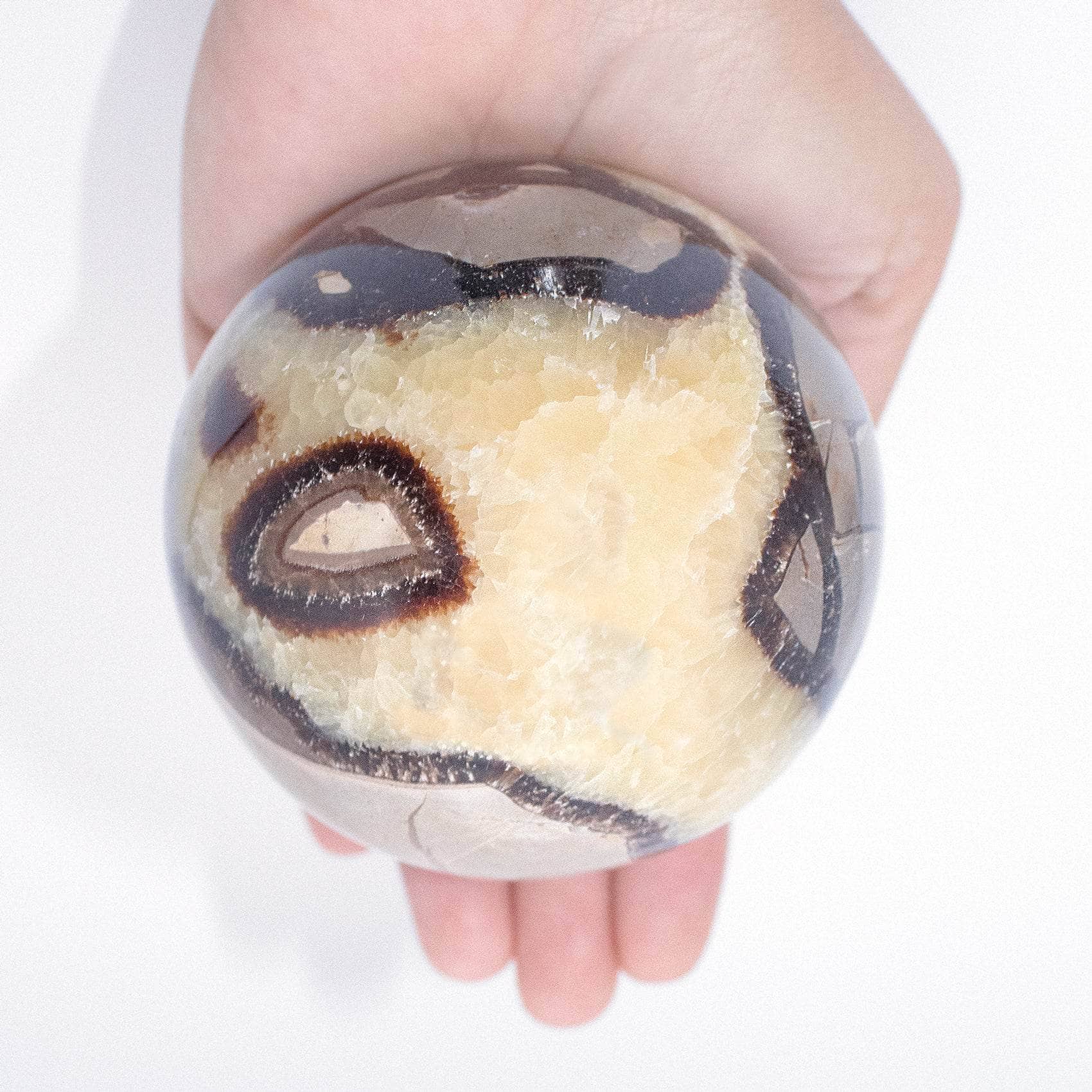 Rare Black Septarian Sphere - 1 of a Kind