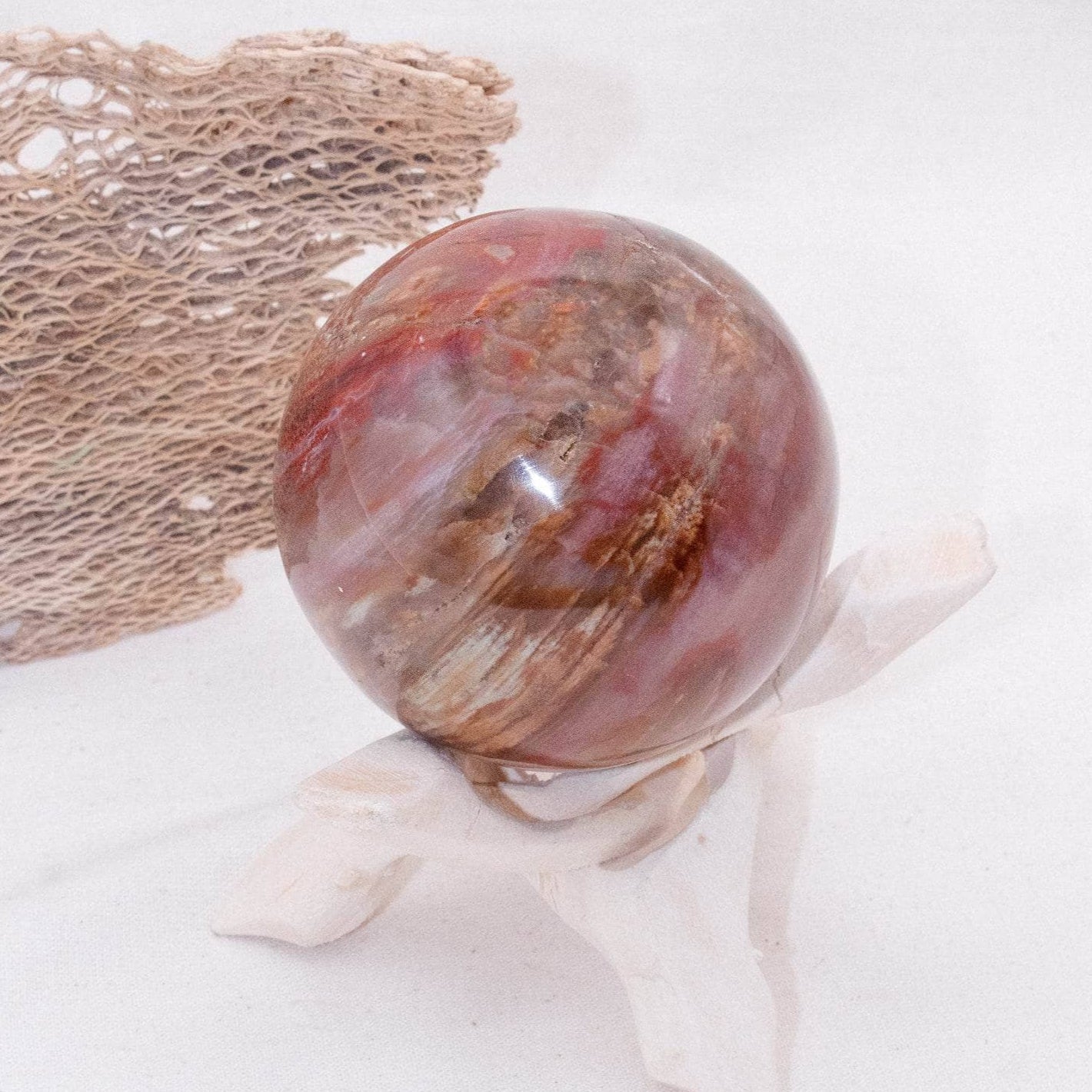 Petrified Wood Sphere