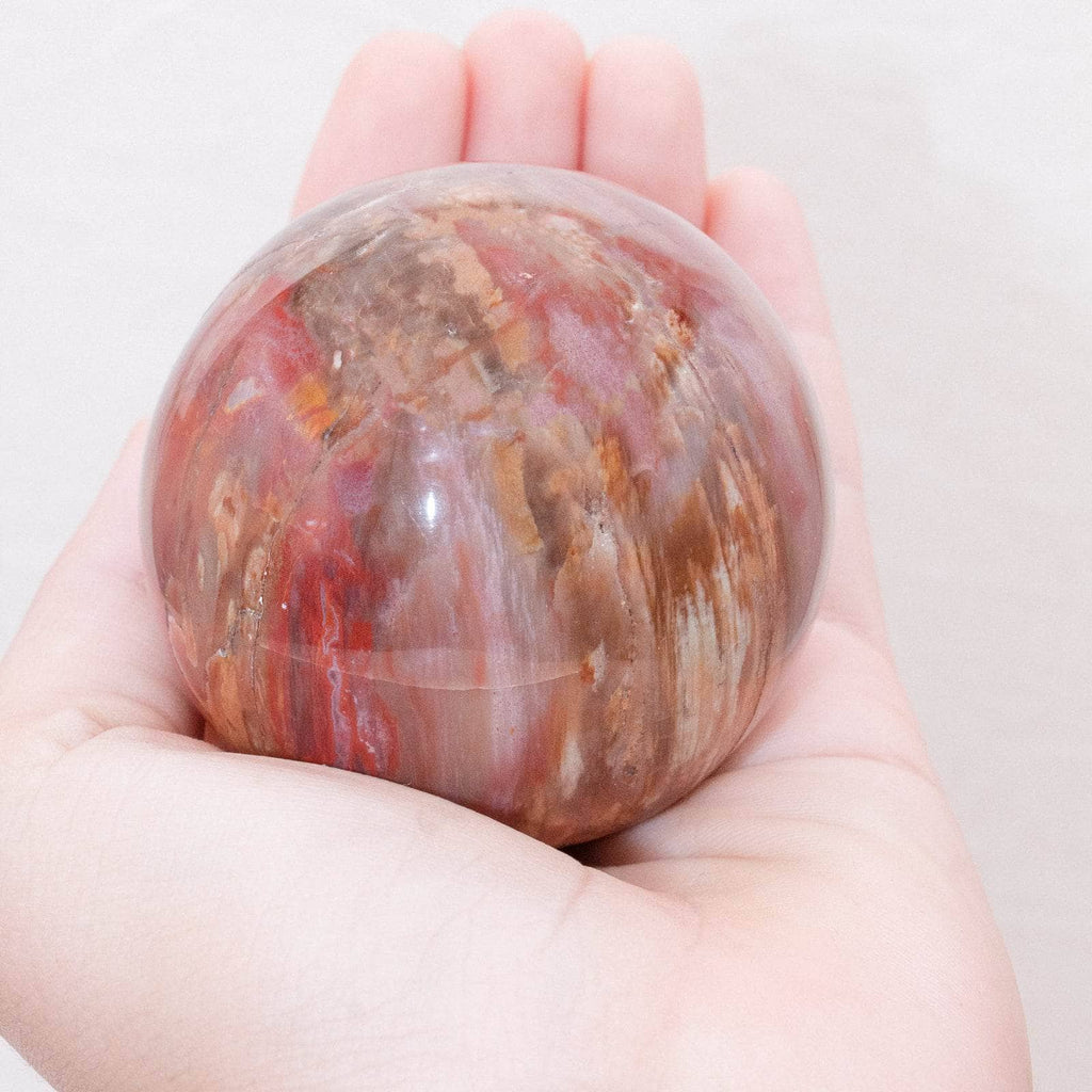 Petrified Wood Sphere