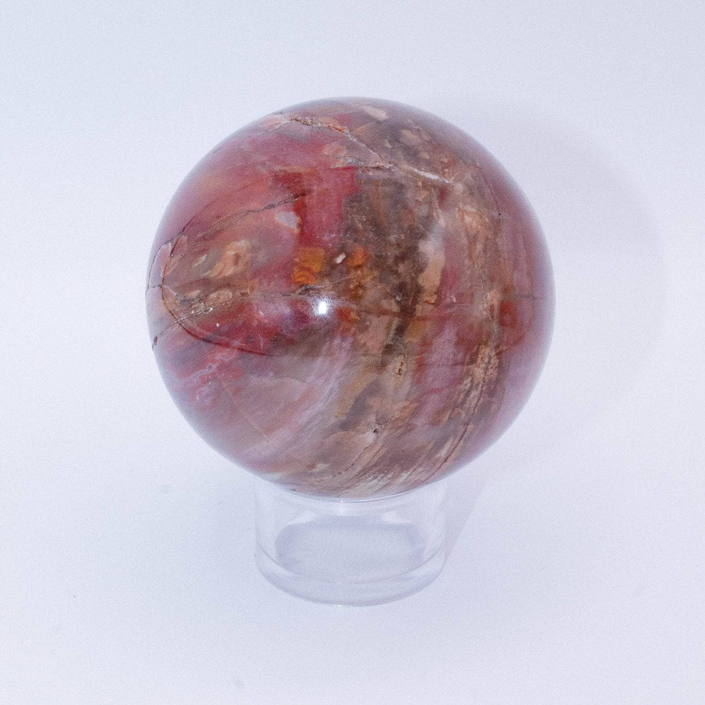 Petrified Wood Sphere