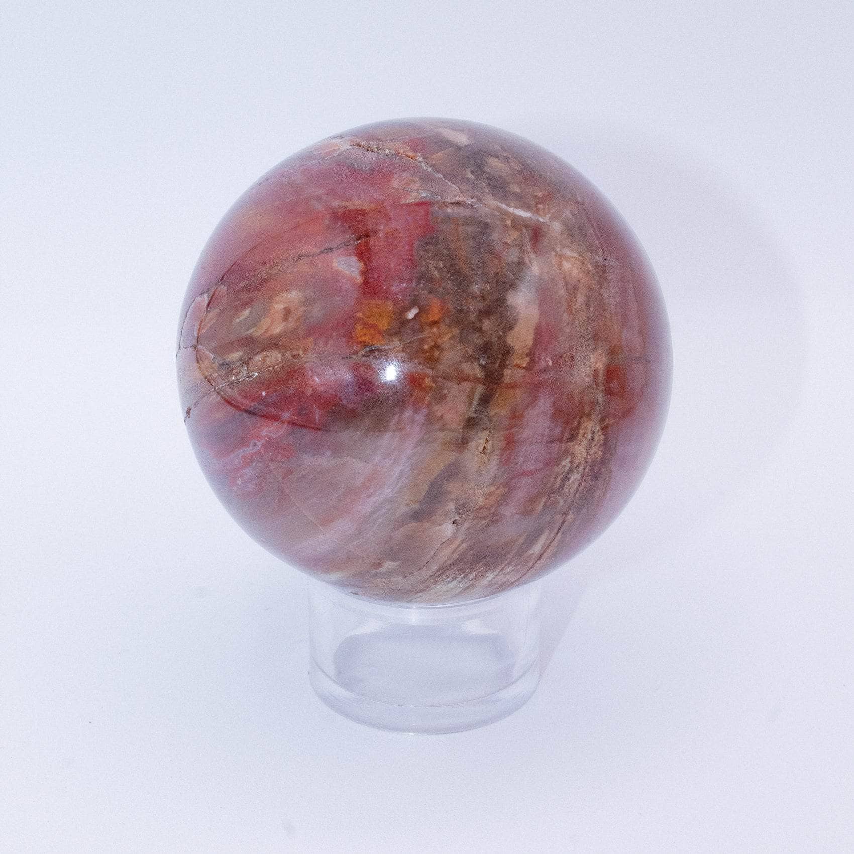 Petrified Wood Sphere