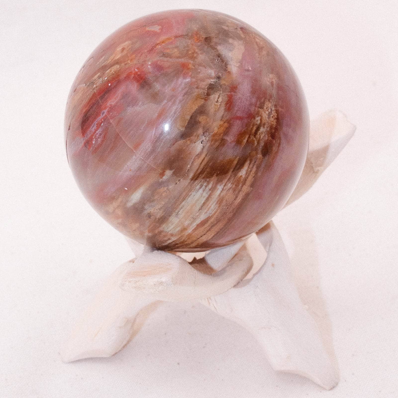Petrified Wood Sphere