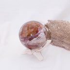 Petrified Wood Sphere