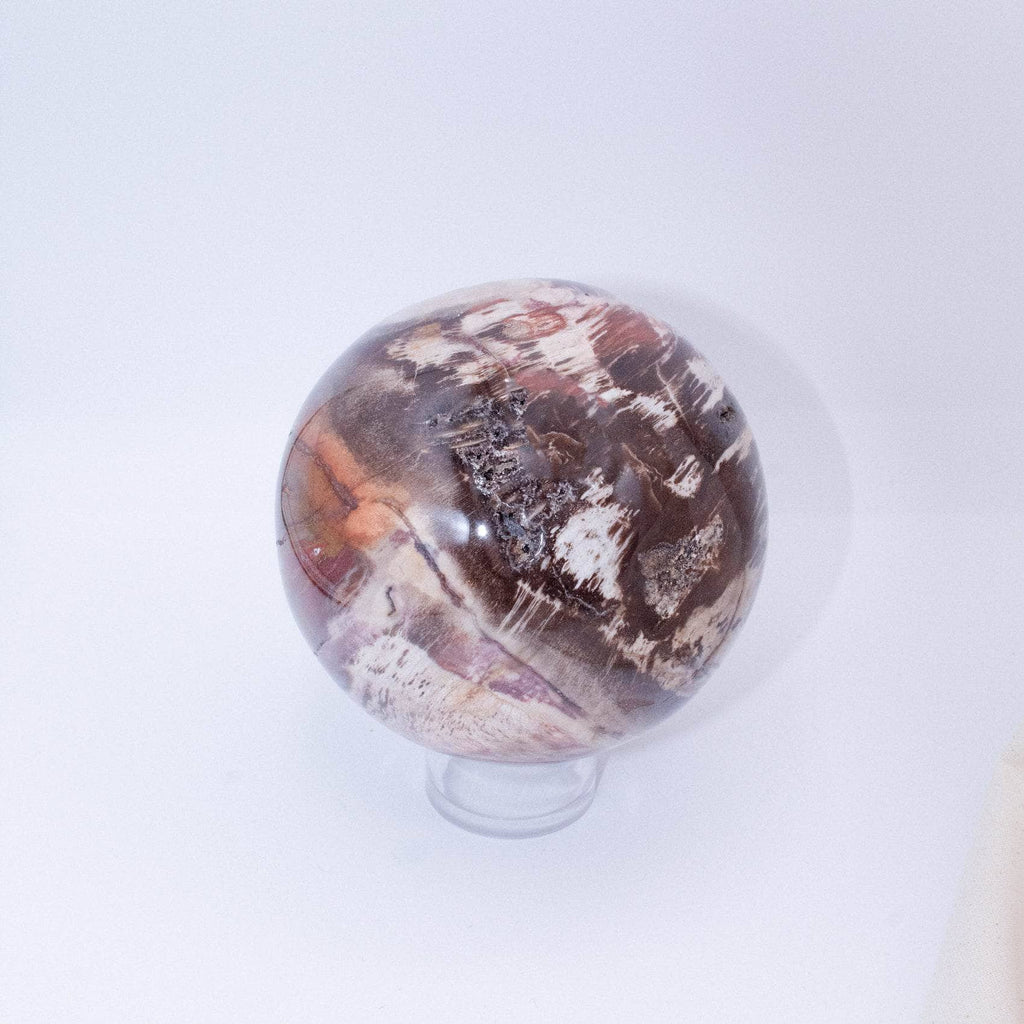 Petrified Wood Sphere