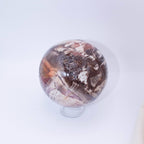 Petrified Wood Sphere