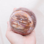 Petrified Wood Sphere