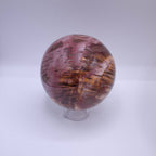 Petrified Wood Sphere