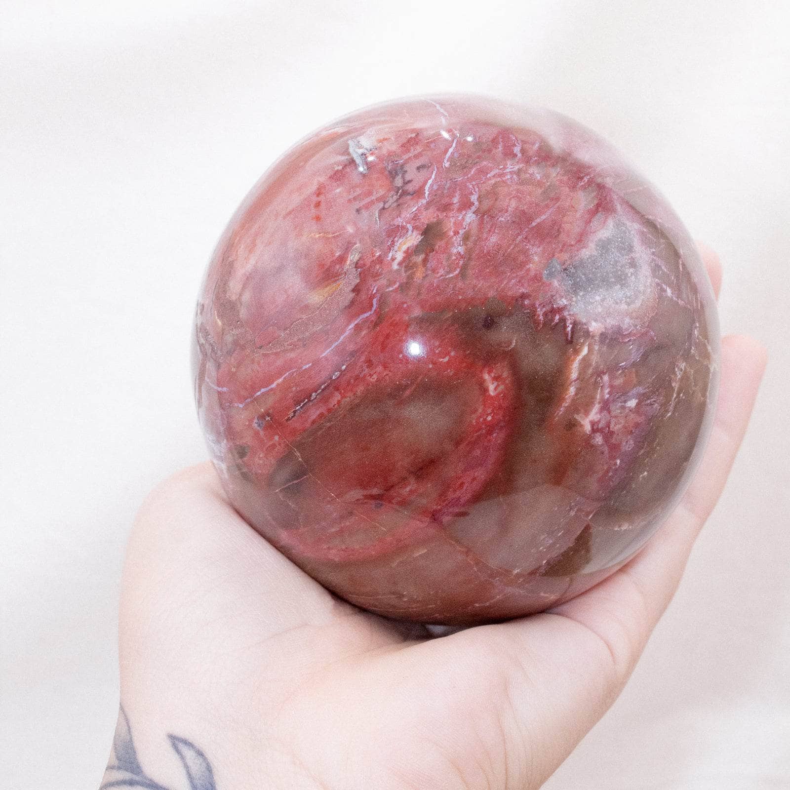 Petrified Wood Sphere