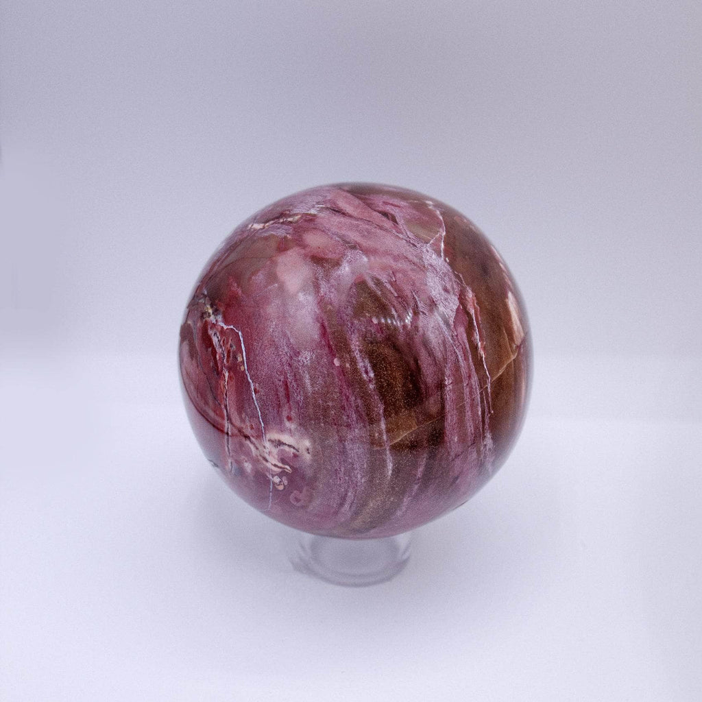Petrified Wood Sphere
