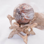Petrified Wood Sphere