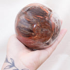 Petrified Wood Sphere