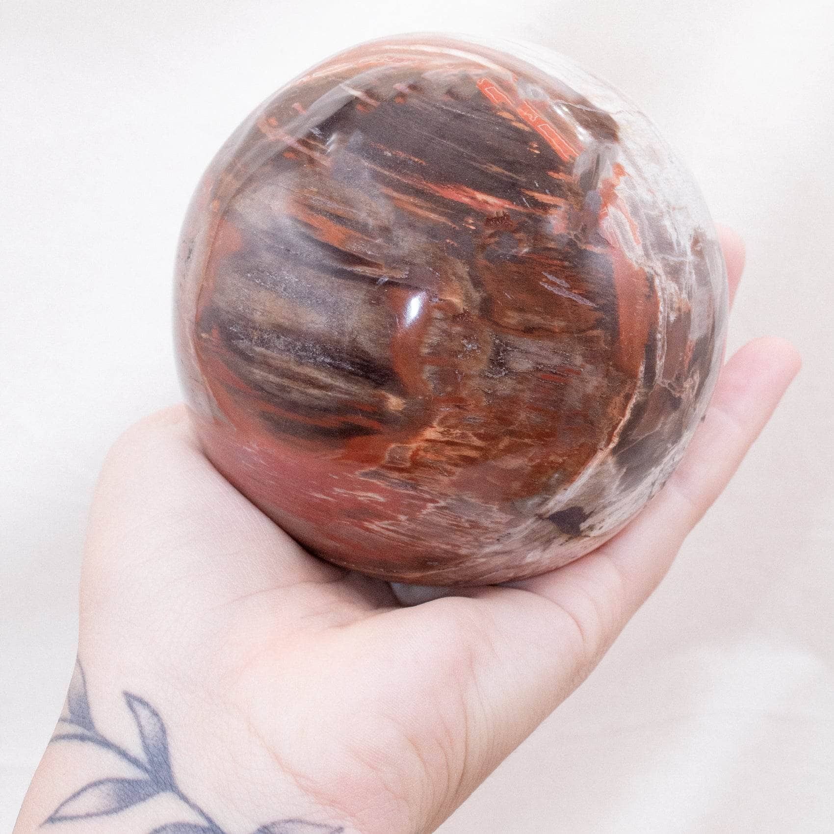 Petrified Wood Sphere