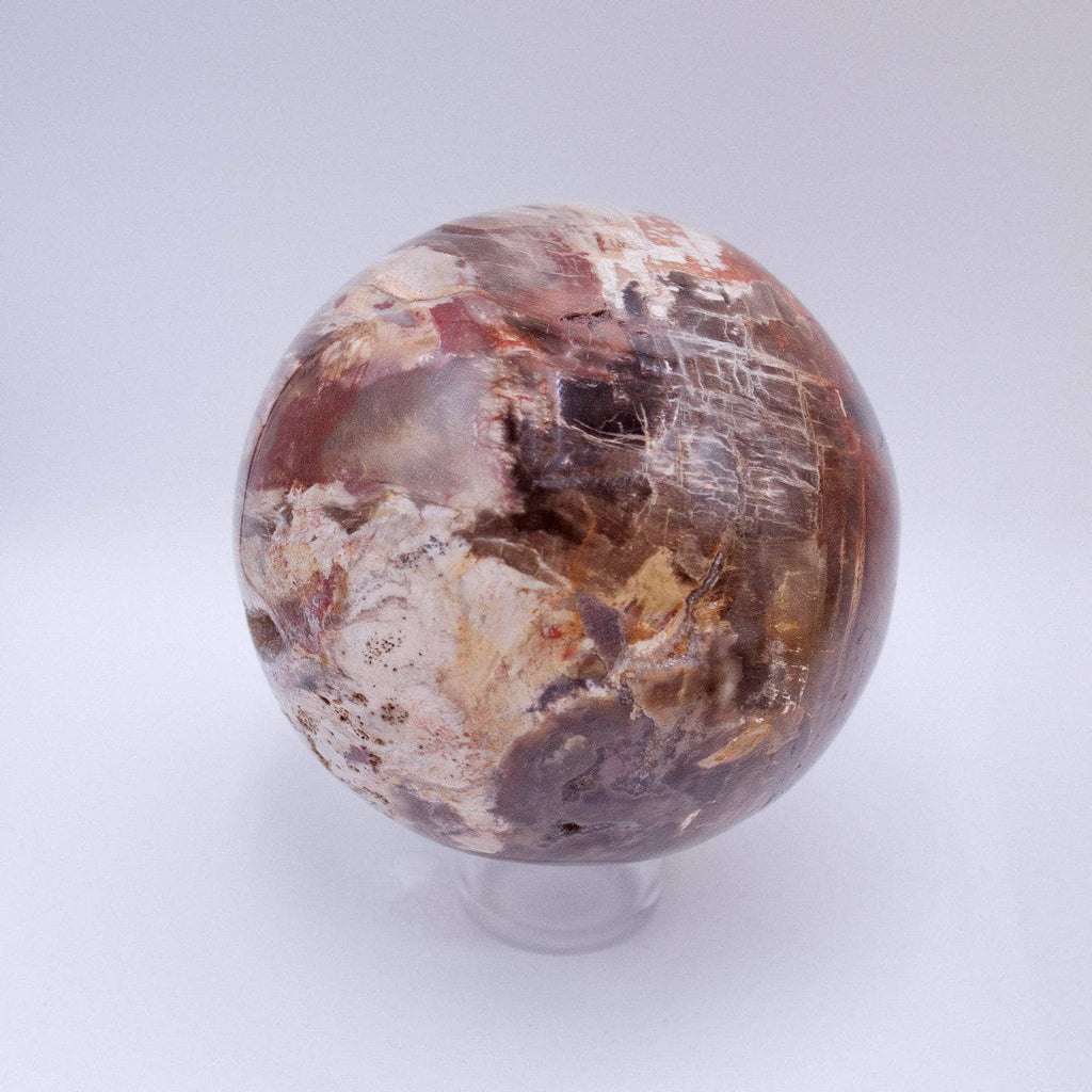 Petrified Wood Sphere