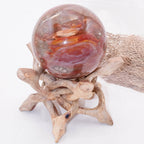 Petrified Wood Sphere