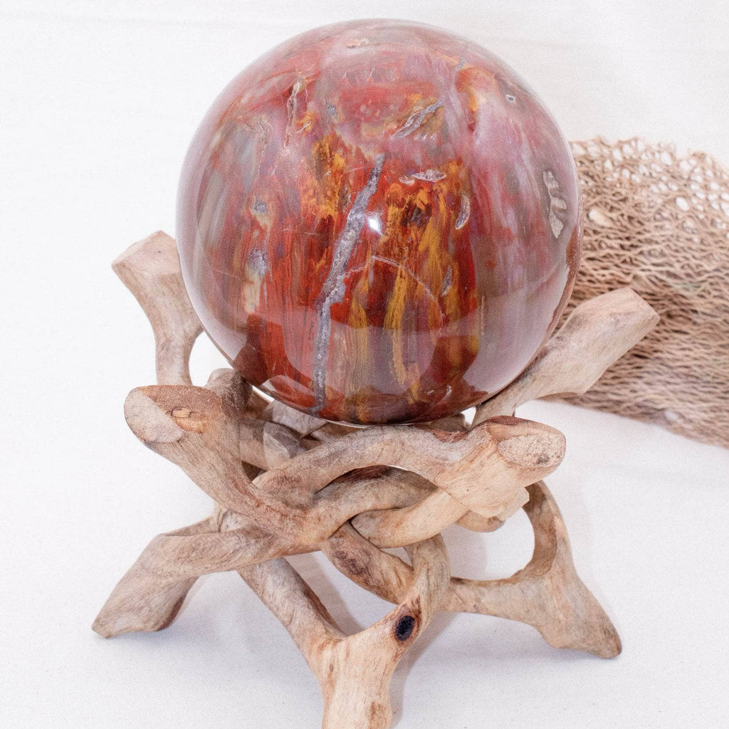 Petrified Wood Sphere