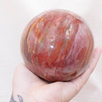 Petrified Wood Sphere