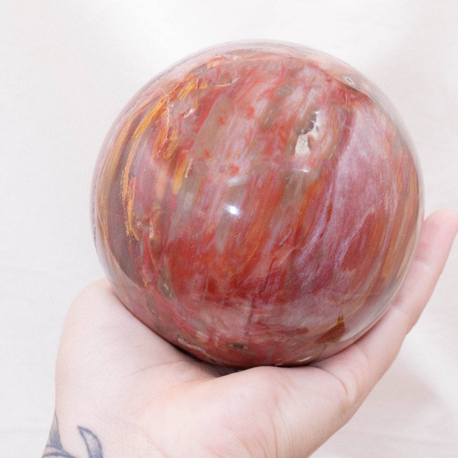 Petrified Wood Sphere