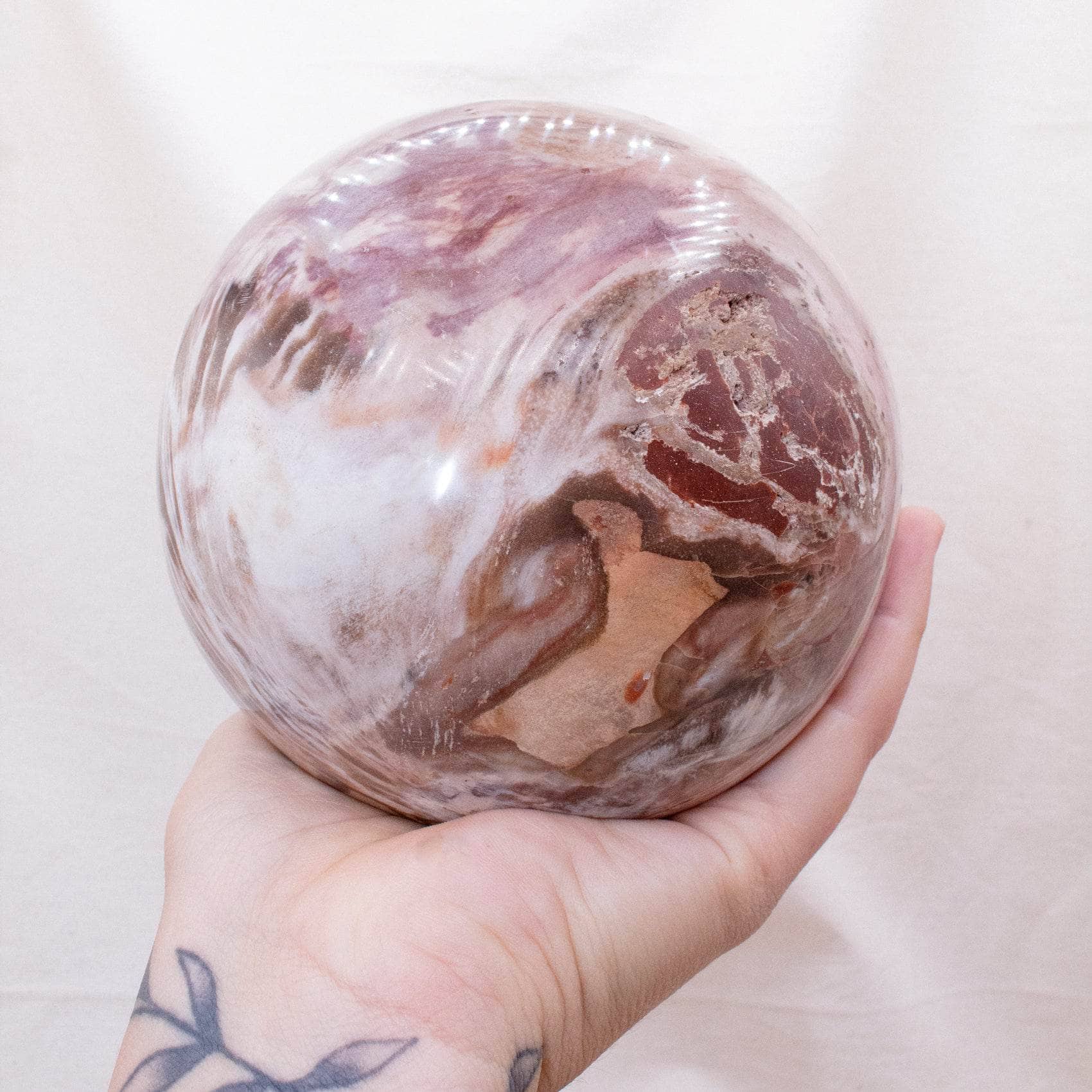 Petrified Wood Sphere
